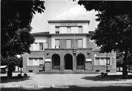 Delcampe - 8-COLLECCHIO(PARMA)PALAZZO COMUNALE - Parma