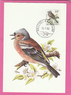 Carte Maximum - Oiseaux - Belgique - Pinson Des Arbres (1990) - Songbirds & Tree Dwellers