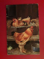 POULE POUSSIN POULAILLER - Luechwitz-Kooreffski