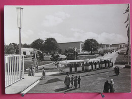 Delcampe - Visuel Pas Très Courant - Allemagne - Erfurt Ausstellungsgelände Der Iga - Très Bon état - R/verso - Erfurt