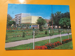 Carei Park Unused Postal Stationery - Roumanie