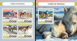 Guinea 2016, Animals, Slege Dogs, 4val In BF +BF - Arctic Tierwelt