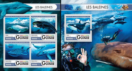 Guinea 2016, Animals, Whales, Diving, 4val In BF +BF - Plongée