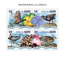 Maldives 2014 Fauna  Water Birds And Corals - Maldives (1965-...)