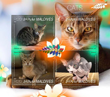 Maldives 2014 Fauna  Cats - Maldives (1965-...)