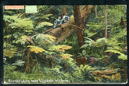 EX-M 21-02-126 BLACK FISHING NEAR LILYDALE VICTORIA - Storia Postale