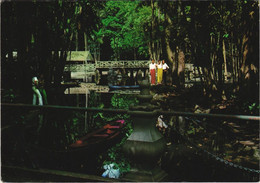 CPM Belem Interior Do Bosque Rodrigues Alves BRAZIL (1085550) - Belém