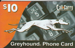 Très Belle Télécarte De Chien Lévrier Greyhound - Cani