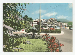 83 Var Bandol La Promenade Et Ses Jardins Fleuris - Bandol