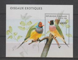 Togo 1996 Oiseaux BF 305 ** MNH - Togo (1960-...)