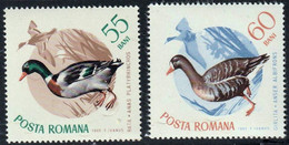 ROUMANIE (Posta Romana) - Faune, Oiseaux - MNH - 1965 - Other & Unclassified