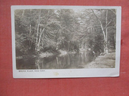 RPPC   New York > New York City >     Bronx River >  Ref 4661 - Bronx