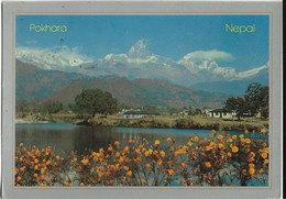NEPAL POKHARA - Népal