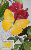 Maximum Card R. Dominicana Papillon Catopsilia Philea  Butterfly Entomology Same Stamp As The Card - Dominican Republic