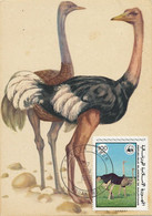 Maximum Card Mauritanie Autruche Ostrich Same Stamp As The Card - Mauritania