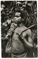 Papouasie.Océanie.Papou Guerrier Montagnard.photo Véritable.ethnique Et Cultures. - Oceanía