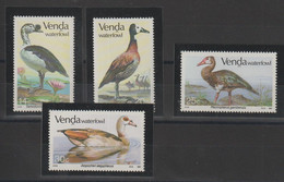 Afrique Du Sud Venda 1987 Oiseaux 150-153 4 Val ** MNH - Venda