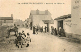 St Brévin Les Pins * Avenue De Mindin * Boucherie Charcuterie * Café Restaurant - Saint-Brevin-les-Pins