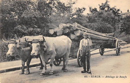 Semur       21      Attelage De Bœufs. Transport De Troncs D'arbres   (voir Scan) - Semur