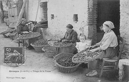 Granges        47      Triage De La Prune       (voir Scan) - Autres & Non Classés