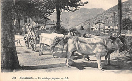 Lourdes     65     Attelages Paysan De Quatre Bœufs     LL102    (voir Scan) - Lourdes