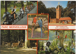 BETTEMBOURG SOUVENIR DU PARC MERVEILLEUX - Bettemburg