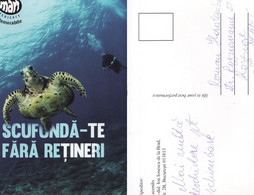 Romania - Animals, Animaux-  Broasca Testoasa, Turtle - Schildpadden