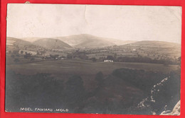 FLINTSHIRE   MOLD  MOEL FAMMAU   BEVAN OF HESWALL RP  Pu 1908 - Flintshire