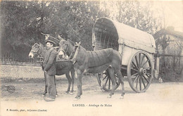 Divers. Non Localisé.       40       Attelage De Mules     (voir Scan) - Sonstige & Ohne Zuordnung