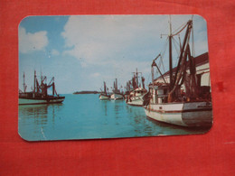 Shrimp Fleet Paper Rub On Back  Florida > Key West  Ref 4662 - Key West & The Keys