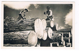 US-826  NORTH-IDAHO : Lumber Is King - Altri & Non Classificati