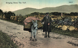 BRING HOME THE TURF IRLANDE  IRELAND DONKEY  EZEL ESEL MULES Donkeycollection - Autres