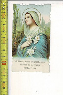 Kl 1205 - O MARIA LELIE ONGESCHONDEN MIDDEN DE DOORNEN VERHOOR ONS - Devotion Images