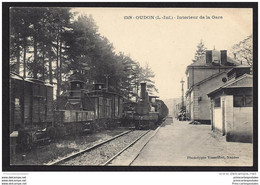 CPA 44 Oudon La Gare Et Le Train - Oudon