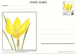 Turkey; 1994 Surcharged (A/30 L.) Postal Stationery With The Subject Of Flowers - Enteros Postales