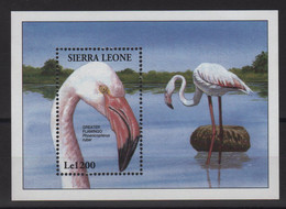 Sierra Leone - BF 249 - Faune - Oiseaux - Cote 8.50€ - ** Neuf Sans Charniere - Sierra Leona (1961-...)