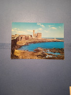 ITALIA-PUGLIA-TRANI-DUOMO COL FARO-FG- - Trani