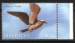 Maldives - MNH ** 2000 :      Brown Noddy   - Anous Stolidus - Gabbiani