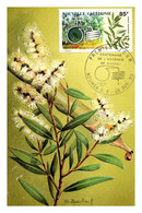 Thème Flore - Nouvelle Calédonie - Carte Maximum - TB - Heilpflanzen