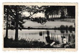 TENNEVILLE CHAMPLON-ARDENNES VALLEE DU BRONZE ETANGS DE GRINCHAMPS - Tenneville