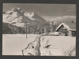 Suisse - Grisons - SILS Im Engadin Blick Auf Piz Della Margna  / Ed. Otto Foster N° 020-22 / Non Voyagée Avant 1960 - Sils Im Engadin/Segl