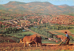 12-MILLAU- LA CITE DU GANT- LA CAPITALE DES CAUSSES AU BORD DU TARN - Millau