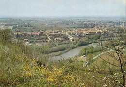 Carbonne - Panorama De La Ville Et De La Vallée De La Garonne - Non Classés