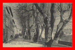 CPA (83) CARCES.  Avenue Ferrandin, Animé...M469 - Carces
