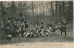 CLERE LES PINS, Champchevrier - Chasse à Courre, Rallye Juigné - Cléré-les-Pins