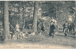 CLERE LES PINS - Chasse à Courre, Equipage Champchevrier - Cléré-les-Pins