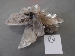 MINERAUX. GYPSE ETOILE DU SPARNACIEN.TERRES NOIRES.MARNE.MASSE:160g.DIMENSIONS:10X7X3cm.CRISTAUX CONSOLIDES - Minerals