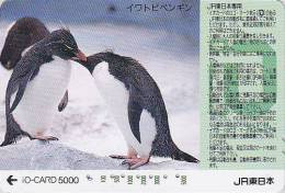 Carte Prépayée JAPON - ANIMAL - Oiseau MANCHOT GORFOU - PENGUIN Bird JAPAN JR IO Card - PINGUIN Vogel - 5392 - Pinguïns & Vetganzen