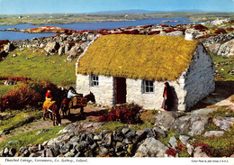 CPM - GALWAY - Thatched Cottage, Connemara. - Galway