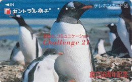 TC JAPON / 110-011 - ANIMAL - OISEAU - MANCHOT PAPOU / Colonie - GENTOO PENGUIN BIRD - JAPAN Phonecard - 5401 - Pinguini